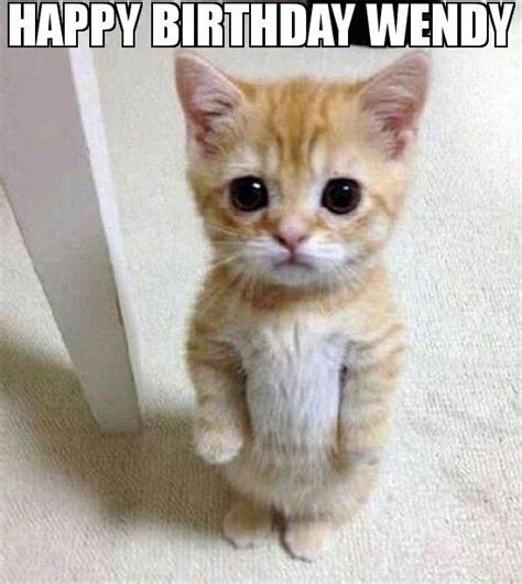 Happy Birthday Wendy Funny Animals Cat Memes Funny Animal Pictures