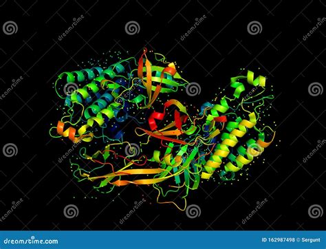 Globular Protein Royalty-Free Stock Image | CartoonDealer.com #671524