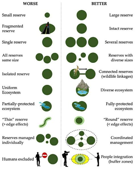 Conservation Biology In Sub Saharan Africa 13 The Importance Of