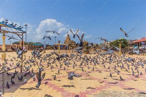 Somnath temple in Gujarat on a sunny day Stock Photo | Adobe Stock