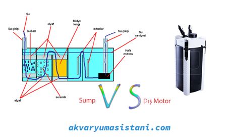 Sump ve Dış Motor Farkları Akvaryum Asistanı