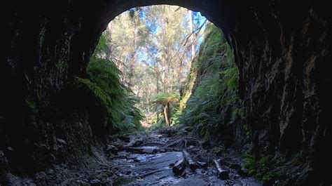 Glow Worm Tunnel Walking Track In Wollemi National Park