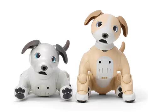 aibo dog sony aibo website sonys aibo robot dog    dont