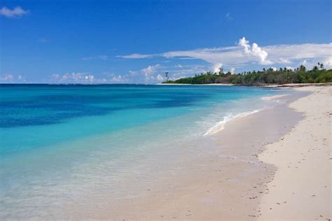 Bird Island Seychelles Africa Private Islands For Rent