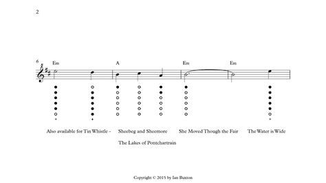 Learn How To Play Scarborough Fair On Tin Whistle With Chords Slow Version Arranged By Ian