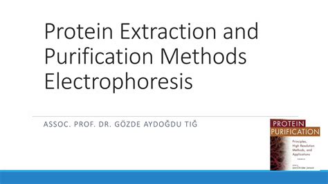 Pdf Protein Extraction And Purification Methods Electrophoresis