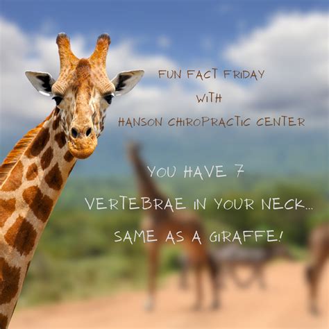 Fun Fact Friday With Hanson Chiropractic Center Chiropractic Center