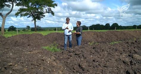 Dejetos De Confinamento Viram Fertilizante Em Fazenda Pecu Ria