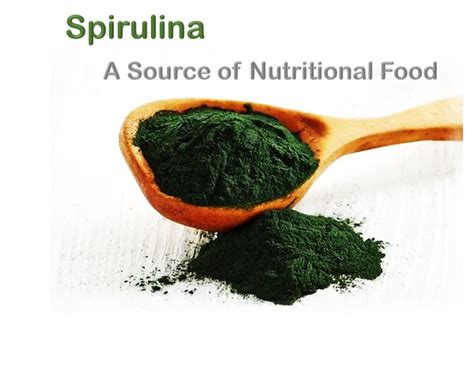 Spirulina Powder - Everflow Global