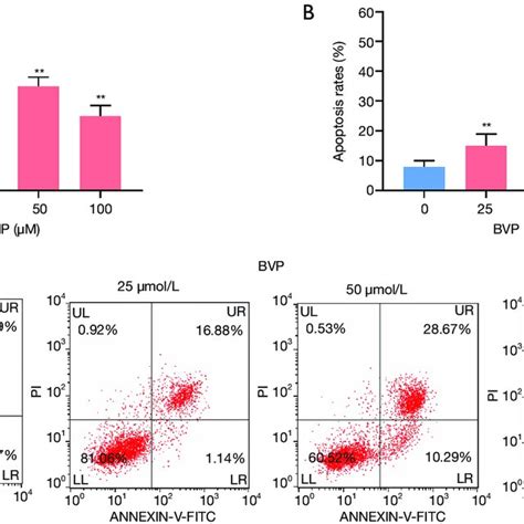 Inhibitory Effect Of Breviscapine Bvp On A Cell Growth A Mtt