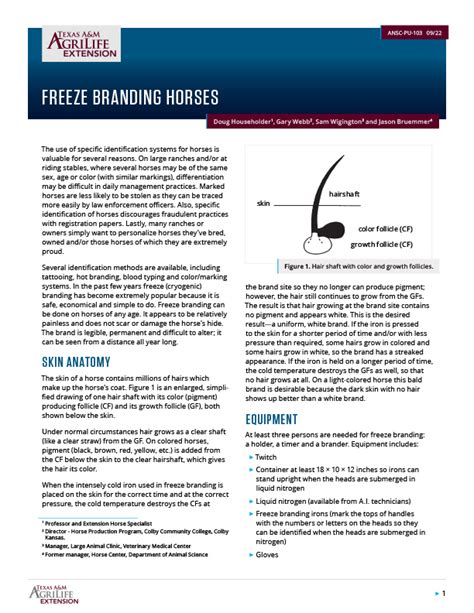 Freeze Branding Horses | Publications | AgriLife Learn