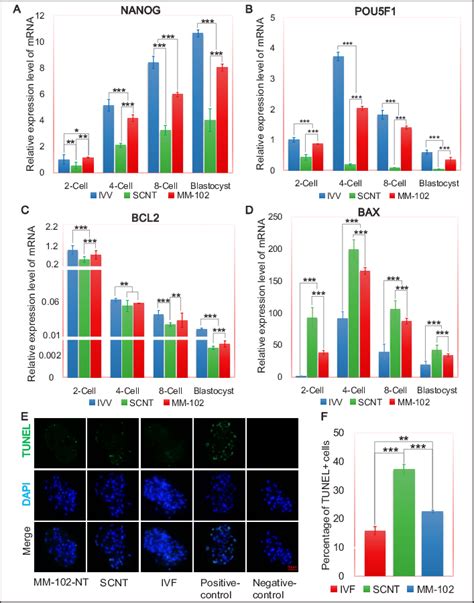 MM 102 Treatment Greatly Improves The Development Of SCNT Embryos