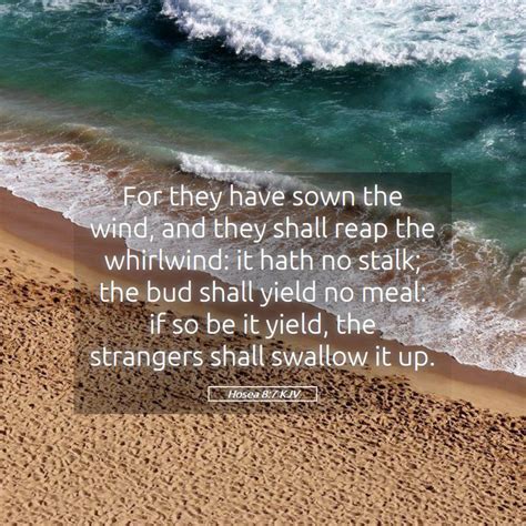 Hosea 87 Kjv For They Have Sown The Wind And They Shall Reap