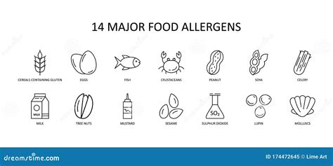 14 Major Food Allergens Icon. Vector Set Of 14 Icons With Editable ...