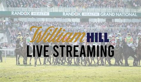 Live Horse Race Streaming | Watch Live Horse Races Today