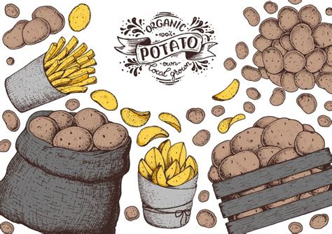 Premium Vector Potato Vector Illustration Box And Bag Of Potatoes