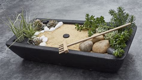 Jardin Japonais Miniature Un Projet DIY Pour Se Concentrer Sur La