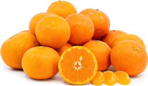 Tahoe Gold Tangerines Information And Facts