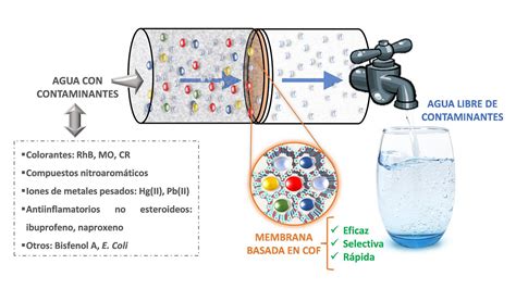 Tecnolog As Utilizadas Para La Descontaminaci N Del Agua De Riego