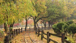 Nami Island Korea Selatan Pulau Wisata Indah Nan Romantis Di Seoul