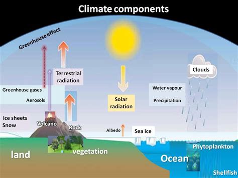 Climate System Components