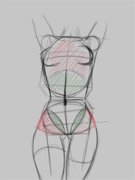 Como Dibujar Un Cuerpo De Estilo Anime Anatomy Drawing Anatomy Art