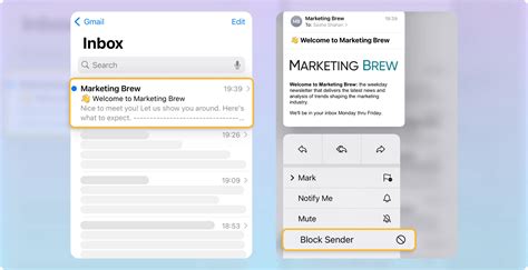 How To Block Email On Iphone And Ipad To Stop Spam