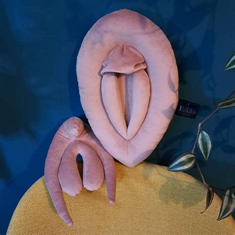 Vulva Pillows Anatomy Set Plushy Puppets For Sex Education Etsy Australia