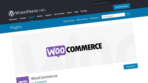 Meilleures Plateformes De Commerce Electronique Pour Wordpress