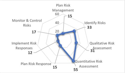 Pmi Risk Management Process Groups Of The Articles Two Stages Together