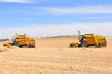 Agriculture La Date De Lancement Du M Gaprojet Alg Ro Italien Connue