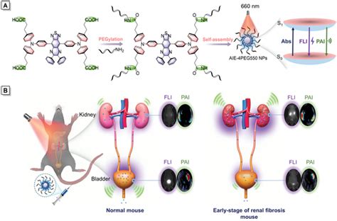 Schematic Illustration Of Design Principle Nanofabrication And Download Scientific Diagram