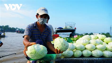 Chợ nổi Cần Thơ sôi động sau những ngày “ngủ quên” | VOV.VN