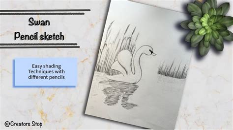 Pencil Sketching S2, EP-6, How to draw a Swan, Pencil sketch of a Swan, Pencil drawing. in 2023 ...