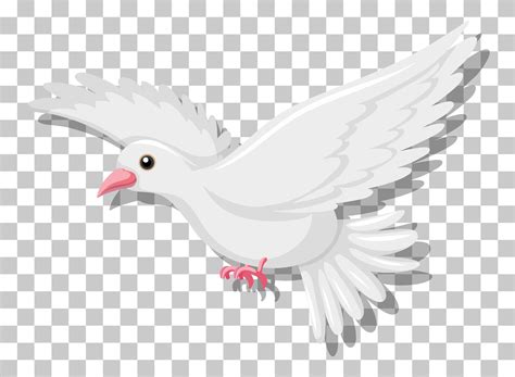 White Pigeon Flying Isolated On Transparent Background 1505151 Vector