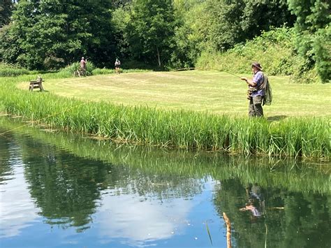 fishing report  june albury estate fisheries