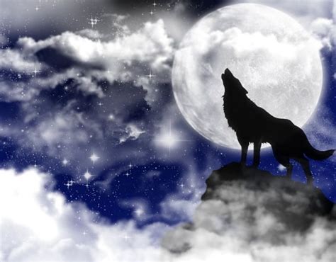 Imagem De Lobo E Lua Cheia A Lua De Hoje Est Vis Vel E Est