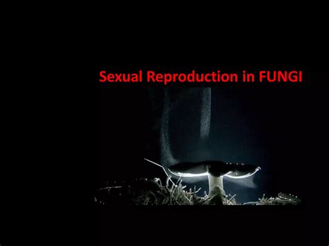 Lecture 9 Sexual Reproduction In Fungipptx