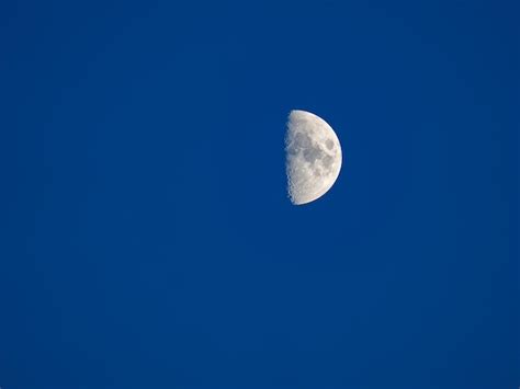 Premium Photo | The growing moon in the first quarter with craters