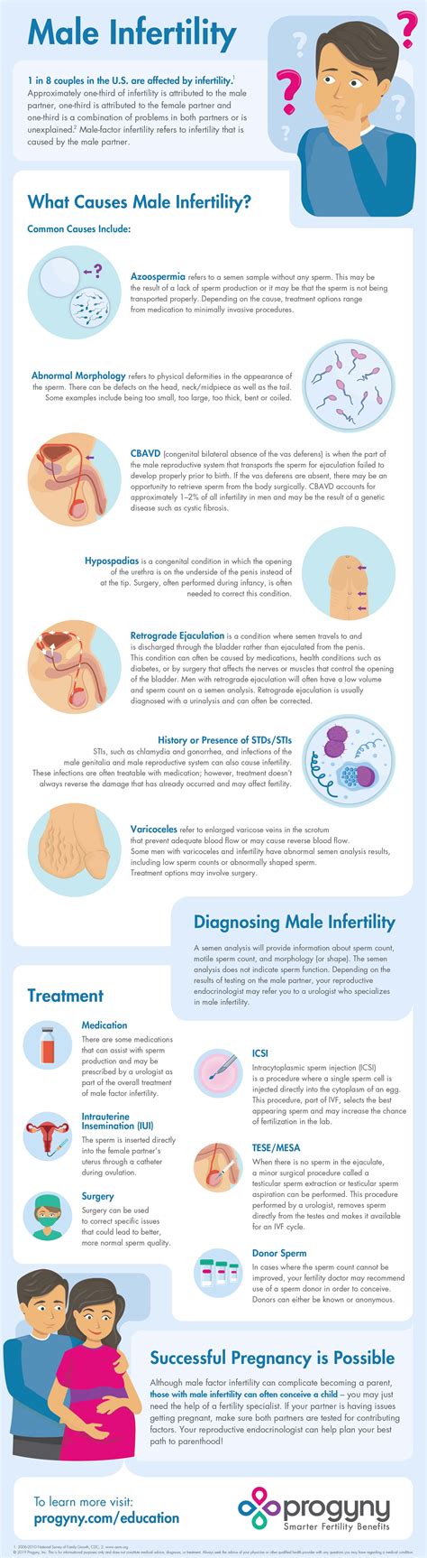 Male Infertility Infographic