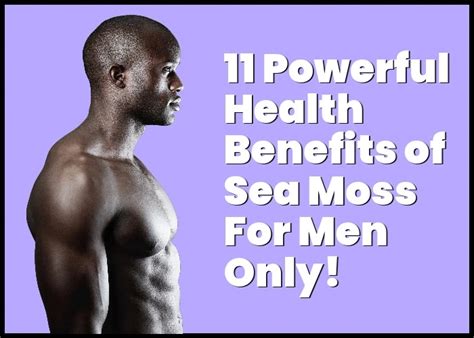 Sea Moss Benefits For Men Only 11 Powerful Health Benefits For Men