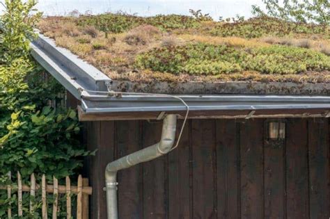 Dachbegr Nung Gartenhaus Ideen Und Tipps Zum Gartenhaus Begr Nen