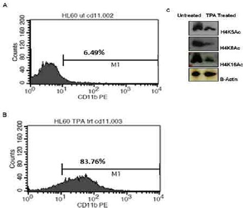 Figure From Monocyte Macrophage Like Cell Differentiation Induced