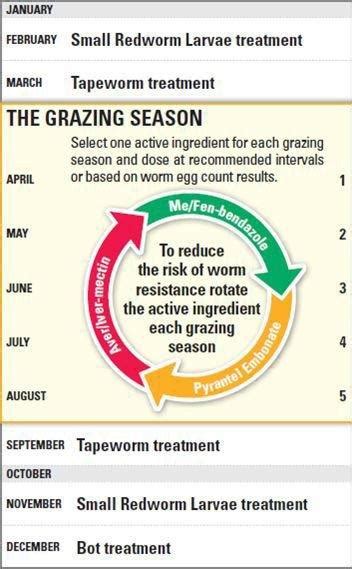 Horse Worming Chart