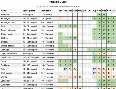 Planting Guide For Vegetables And Herbs In South Africa