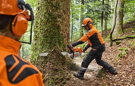 Stihl 881 vs 661 – What’s The Better Chainsaw? - The Ultimate Home ...