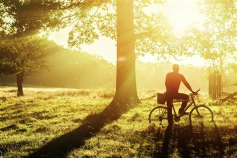 40+ Richmond Park Cycling Stock Photos, Pictures & Royalty-Free Images ...