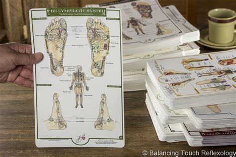 Lymphatic System Reflexology Foot Chart Balancing Touch Reflexology