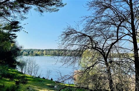 Invicus Luksusowy Dom Z Widokiem Na Jezioro I Las Na Sprzeda Dom