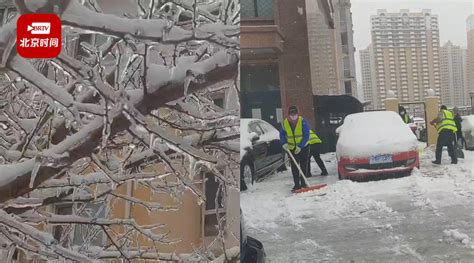 哈尔滨遭暴雪冻雨袭击：树枝被压断 全市停课停工手机新浪网